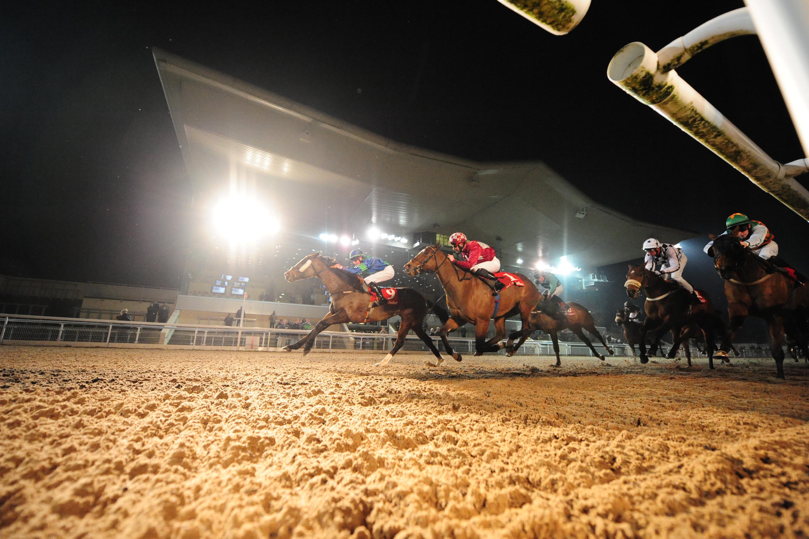 Dundalk Stadium