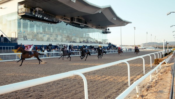 Dundalk Stadium | Racing Info for Horse & Greyhound Fans